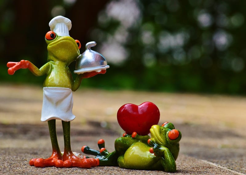 African Fusion Cuisine